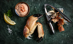 food photography shell fish studio